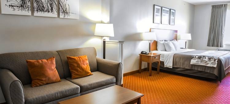 纽布朗费尔斯舒眠套房酒店(Sleep Inn & Suites New Braunfels)图片