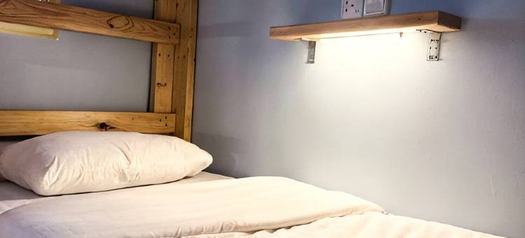 Alpaca Club Homestay图片
