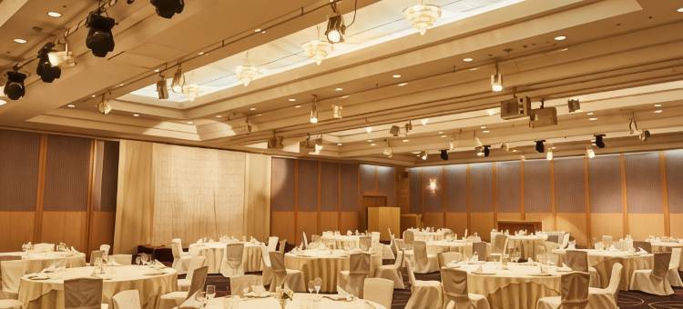 关西机场华盛顿酒店(Kansai Airport Washington Hotel)图片