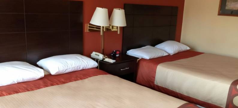 沃斯堡北速8酒店(Super 8 by Wyndham Fort Worth North)图片