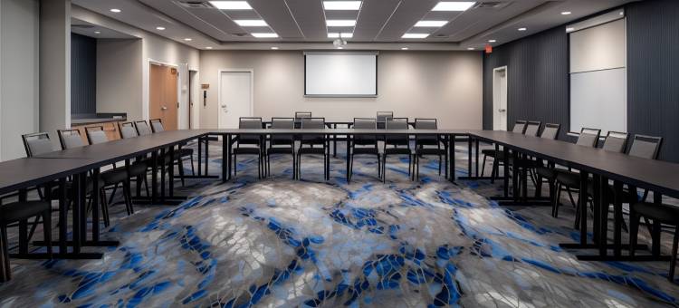 底特律坎顿万枫套房酒店(Fairfield Inn & Suites Detroit Canton)图片