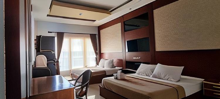 迪比尔兹酒店(D'Bilz Hotel)图片