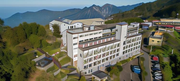 阿里山梅园楼观景饭店图片