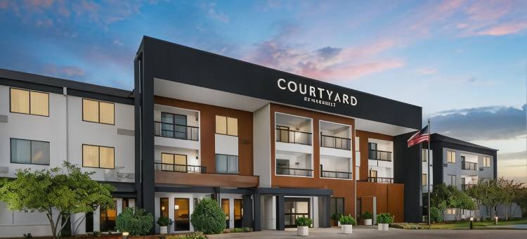达拉斯路易斯维尔万怡酒店(Courtyard Dallas Lewisville)图片