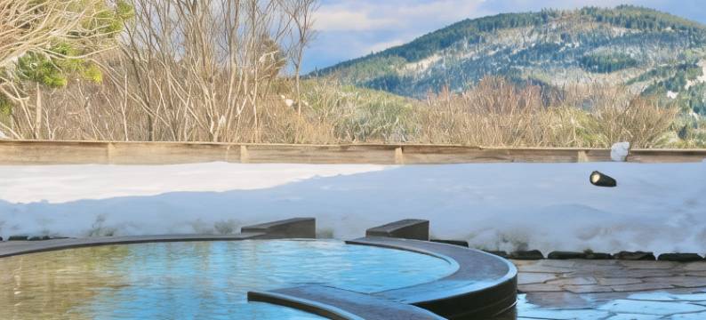 米内亚马科根霍特尔瑞拉克西亚(Mineyama Kogen Hotel Relaxia)图片