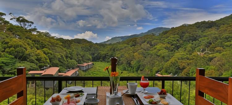热带雨林生态度假旅馆(The Rainforest Ecolodge - Sinharaja with Shuttle Service from Car Park)图片