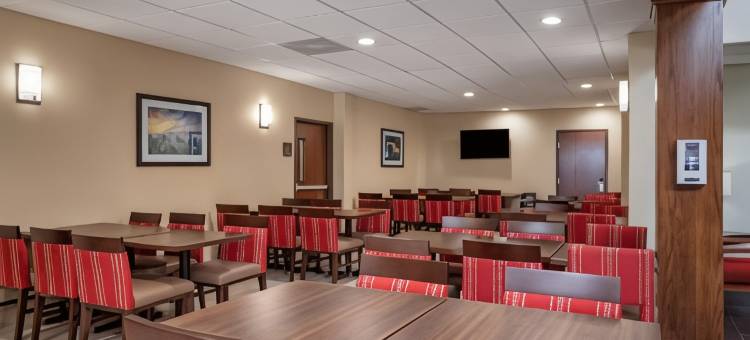 舒适套房酒店-近德克萨斯医学中心NRG体育场(Comfort Suites Near Texas Medical Center - NRG Stadium)图片