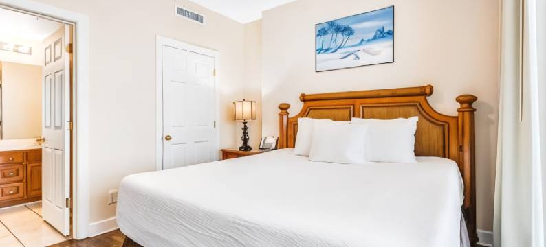 Ocean Reef 805图片