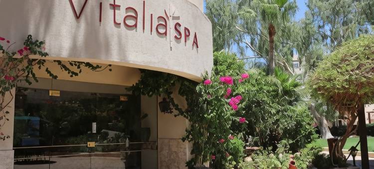 死海温泉酒店(Dead Sea Spa Hotel)图片