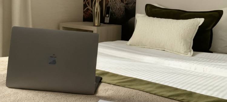 文艺复兴酒店(Le Renaissance)图片