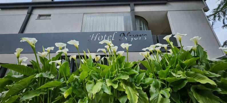 涅尔什酒店(Albergo Nyers)图片