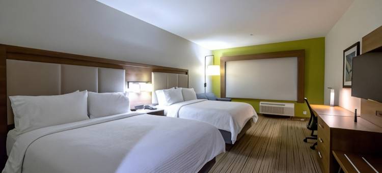 智选假日套房酒店-加兰西南/达拉斯东北地区(Holiday Inn Express & Suites Dallas Northeast - Arboretum)图片