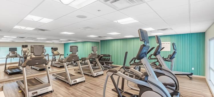 莫比尔大学区智选假日套房酒店(Holiday Inn Express & Suites Mobile - University Area)图片