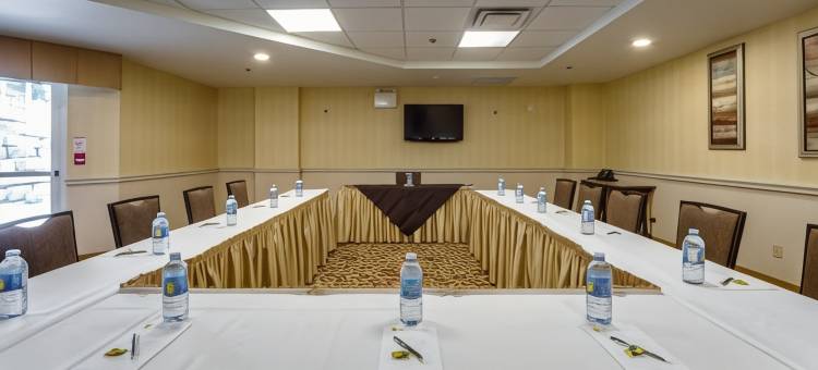 蒙地卡罗及套房市中心万锦酒店(Monte Carlo Inn & Suites Downtown Markham)图片