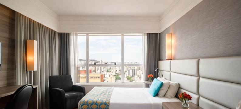 波旁贝洛奥里藏特阿丰索佩纳商务酒店(Bourbon Belo Horizonte Savassi)图片