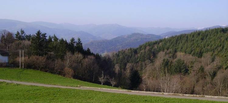 Lovely furnished apartment in a massive Vosges house图片