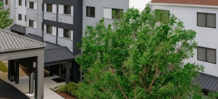 达拉哈西北/I-10 首都圈万怡酒店(Courtyard Tallahassee North/I-10 Capital Circle)图片