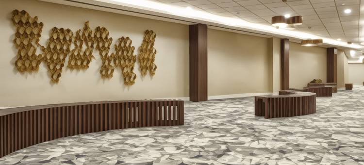 里约热内卢万怡酒店-巴拉达蒂茹卡(Courtyard Rio de Janeiro Barra da Tijuca)图片