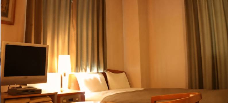 平成酒店(Heisei Hotel)图片