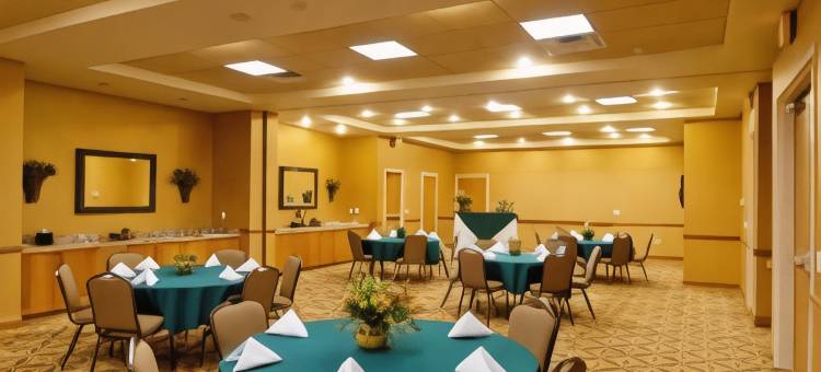 水牛城欢朋套房酒店(Hampton Inn & Suites Buffalo)图片