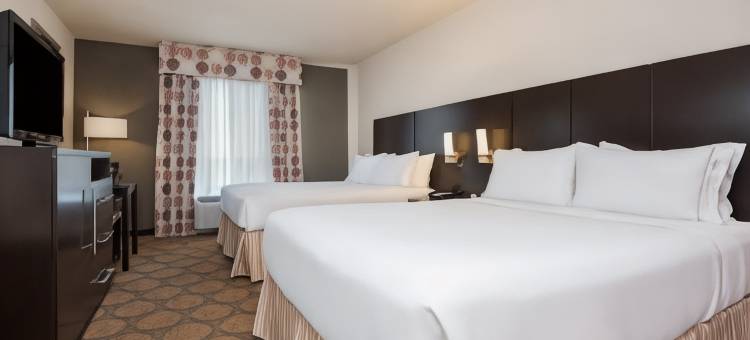 智选假日套房酒店霍布斯(Holiday Inn Express & Suites Hobbs)图片