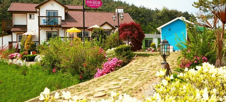 Anmyeondo Susukotdari Pension图片