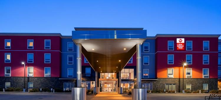 贝斯特韦斯特优质机场优质酒店(Best Western Plus Airport Inn  Suites)图片