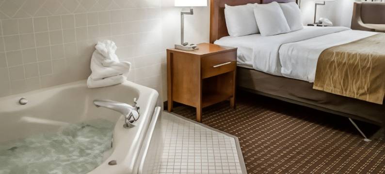 河景舒适套房酒店(Comfort Inn & Suites Riverview Near Davenport and I-80)图片