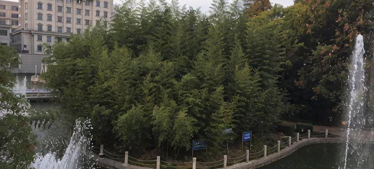 启东名翔小宾馆图片