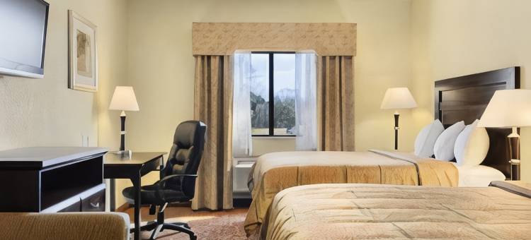 格兰德洲际酒店及套房(GRANDER INN & SUITES by IHG)图片