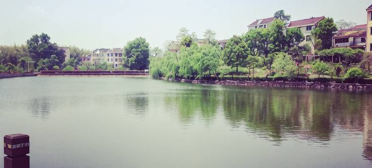 磐安问鼎农庄图片