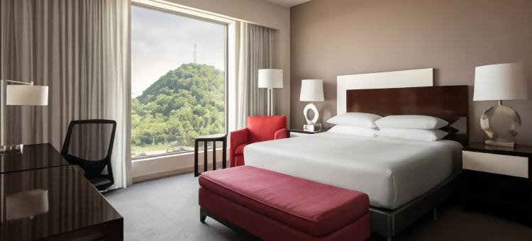 巴拿马万豪酒店(Marriott Panama Hotel)图片