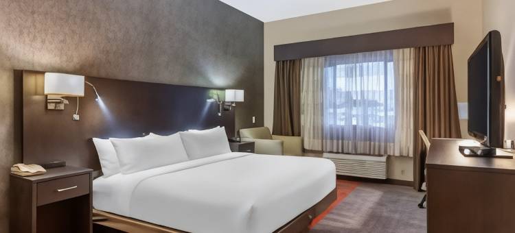 博伊西默尔迪恩舒适套房酒店(Comfort Suites Boise West Meridian)图片