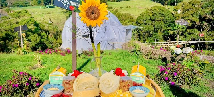 波阿斯火山观测站旅馆和野营地(Poas Volcano Observatory Lodge & Glamping)图片