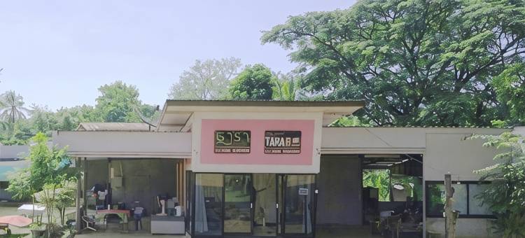 塔拉度假村(Tara Resort)图片