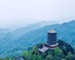 Chengdu's Taoist Quest: Mount Qingcheng's Ancient Ginkgo King Unveiled