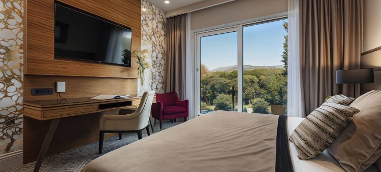 阿里斯顿皇家酒店(Royal Ariston Hotel)图片