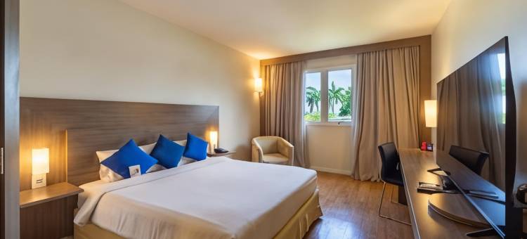 马瑙斯诺富特酒店(Novotel Manaus)图片