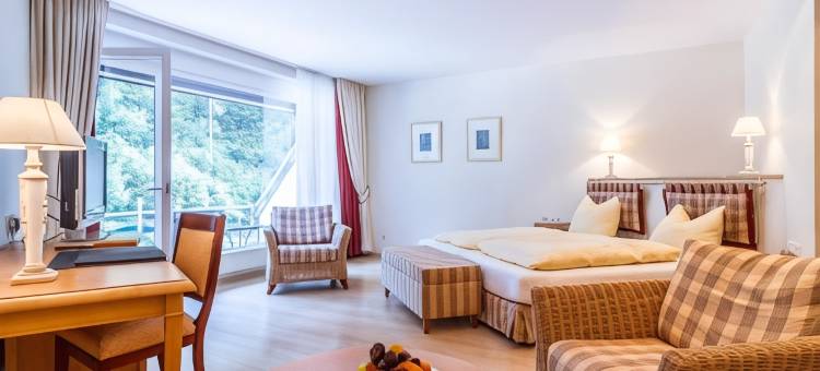 贝得苏博万酒店(Waldhotel Bad Sulzburg)图片