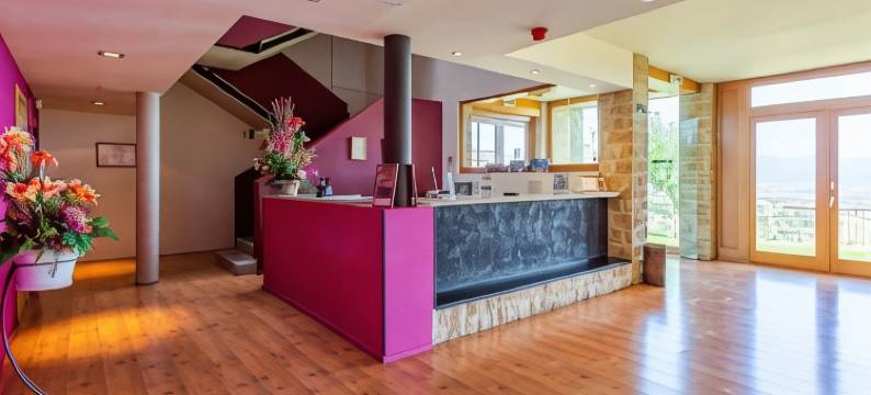 特里斯克尔酒店(Hotel Alda Triskel)图片