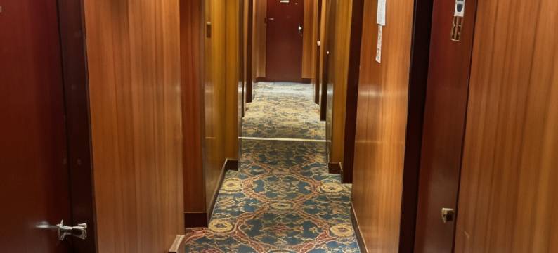 布卢姆斯伯里格雷汉酒店(Gresham Hotel Bloomsbury)图片