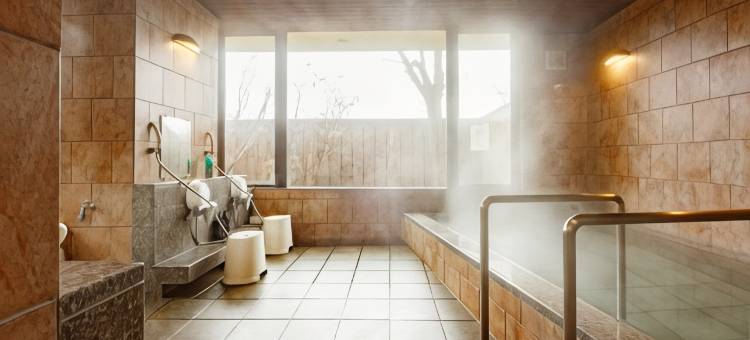 上越太阳广场酒店(Joetsu Sun Plaza Hotel)图片