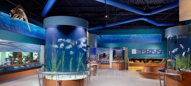 西棕榈滩万怡酒店(Courtyard West Palm Beach)图片