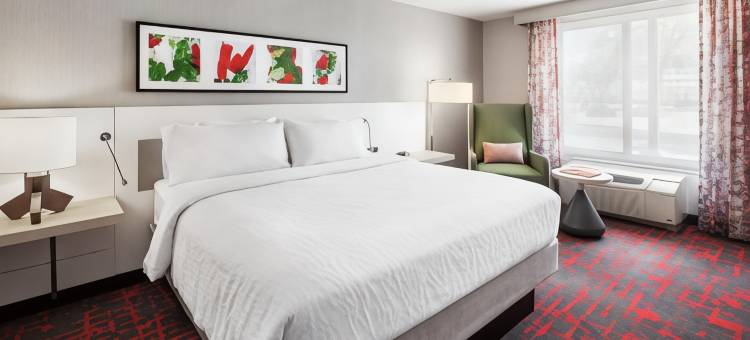 北阿尔伯克基/里约兰乔希尔顿花园酒店(Hilton Garden Inn Albuquerque North Rio Rancho)图片