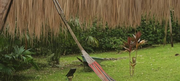 Eco酒店El Reposo(Eco Hotel El Reposo)图片