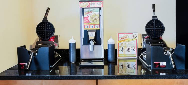 温德姆霍兰德麦客达套房酒店(Microtel Inn & Suites by Wyndham Holland)图片