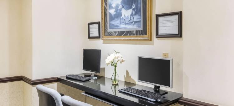 萨默塞特凯隆酒店-新不伦瑞克(Clarion Hotel Somerset - New Brunswick)图片