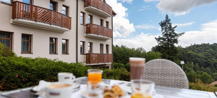 哈西斯泰因派特隆疗养酒店(Pytloun Wellness Hotel Hasištejn)图片