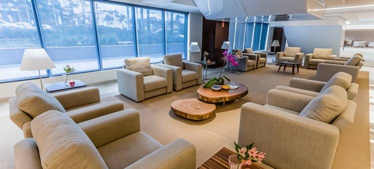 阿尔法村蓝树高级酒店(Blue Tree Premium Alphaville)图片