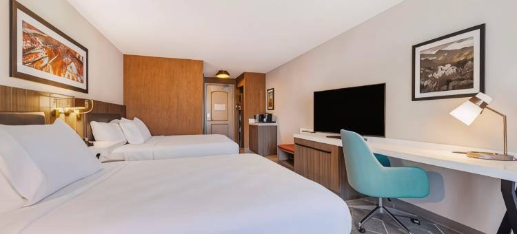 科罗拉多斯普林斯机场希尔顿花园酒店(Hilton Garden Inn Colorado Springs Airport)图片